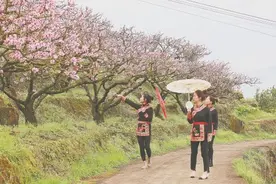 福安南山村：桃花朵朵开“仙桃”富农家图片