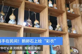 高手在民间！鹅卵石上绘“彩衣”视频封面