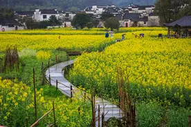 这趟火车专门跑景点！四川今年首趟旅游专列开往春天图片