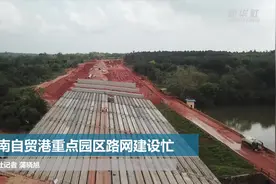 海南自贸港重点园区路网建设忙视频封面