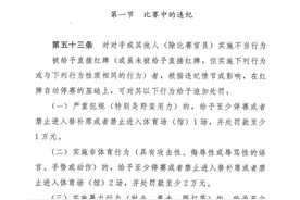 足协发布新赛季纪律准则 向裁判吐口水至少禁赛1年图片