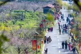 持续火爆！黄石这里的桃花、油菜花被全省推荐图片