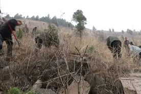 枣庄山亭：春雨入水泉 山间添新绿视频封面