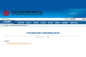 又有券商冲刺A股IPO！宝武集团旗下华宝证券已接受中金公司辅导，去年12月才获保荐资格图片