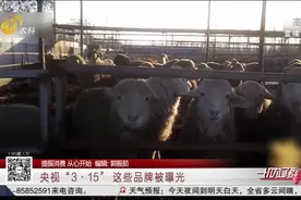 央视“3·15”官方打假！瘦肉精、买卖简历,这些黑幕让人触目惊心视频封面