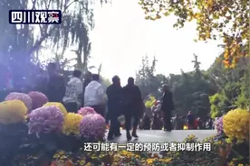 防蓝光产品能防近视吗？专家：一般不需使用图片