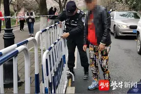男子边开车边赏樱花，一不留神撞上护栏图片