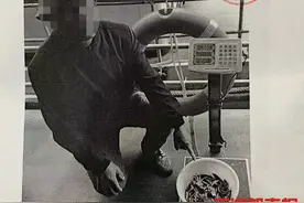 网购一只赫尔曼陆龟当宠物，罚钱又获刑图片