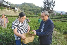 跨越1300公里的山海情图片