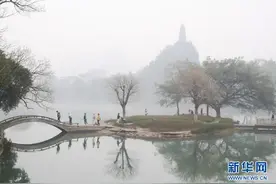 春光无限 缤纷如画图片