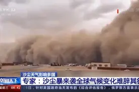 沙尘天气影响多国 专家：全球气候变化难辞其咎图片