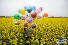 乡村振兴花为媒图片