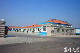 一人能管2000只，原来智能化养羊这么“轻松”图片