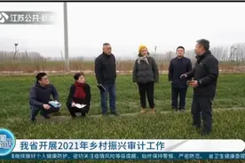 完善涉农资金全面预算绩效管理，江苏开展2021年乡村振兴审计工作视频封面