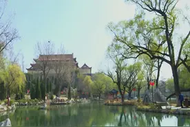 潍坊青州市：百花争艳齐开放 正是春日赏花时图片