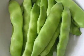 3种自带“毒素”的豆类食用前要焯水，为了健康别省事图片