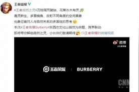 王者荣耀官宣梦幻联动Burberry 网友：新皮肤买不起了图片