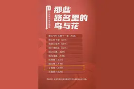 全市唯一！高新区丁香里入选全国“路名图鉴”图片