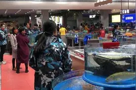 批发市场“搬”进酒楼！武汉人吃海鲜开启“前市场后餐厅”模式，现挑现买现做现吃图片