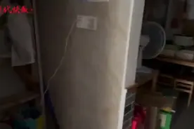 曼玲粥店“吃剩排骨再下锅”，南京多家门店销量受影响……图片