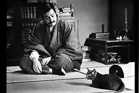 日本文学中的猫图片