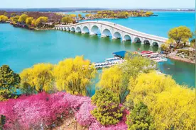 江苏省连云港：看花岛上看春景图片