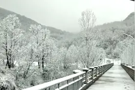 雪后玉渡山，竟然美成这样！视频封面