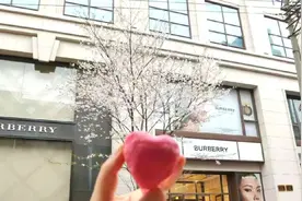 开了！超美樱花树绽放南京路步行街图片