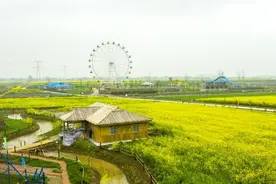 安庆市望江县油菜花系列赏游推出三条精品线路图片