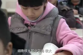 错放你的手：小女孩上生物课，上到遗传学，竟发现自己不是亲生视频封面
