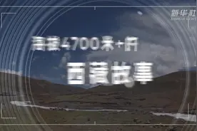 新华全媒+｜海拔4700+的西藏故事：羌塘无人区里的守护者视频封面