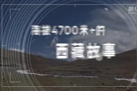 新华全媒+｜海拔4700+的西藏故事：羌塘无人区里的守护者视频封面