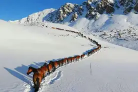 转场，古牧道上一首吟诵千年的牧歌图片