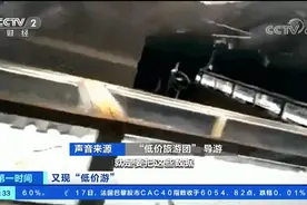 云南导游威胁：“不花钱就上征信！”文旅部：记得打这个电话图片