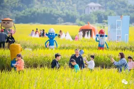 24小时实时直播！《爱在河上》稻田慢直播来啦图片