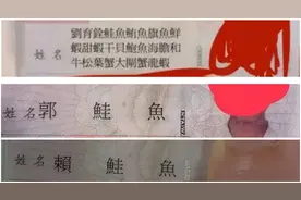 为吃免费寿司疯狂改名，全台湾超百人名字现“鲑鱼”图片