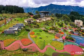 雅安荥经：郁金香花开成海引游客“捉春”图片