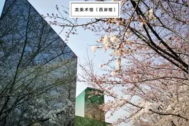 南京路步行街也能赏樱啦！老字号樱花周边戳中少女心图片