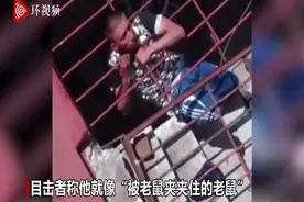 笨贼！墨西哥一小偷头被卡栏杆中 警方救援后将其逮捕图片