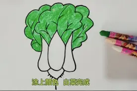 一看就会！大白菜简笔画教程来喽，快跟着学起来吧视频封面