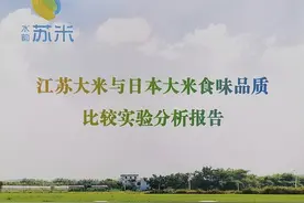 “南粳46”稻种通过江苏省农作物品种扩区审定图片