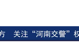 一线微观丨辗转13手，隐匿3年多！南阳交警穿越“半个中国”将它寻回！图片
