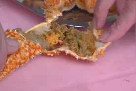 青岛海星泛滥遭抢购，收购商：可蒸食，味道像蟹黄视频封面