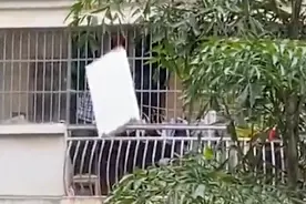 吓呆邻居！南宁一男子从三楼扔下旧家具视频封面