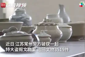 江苏一工地发现古墓群未上报，大量文物遭盗卖！已追回3519件图片