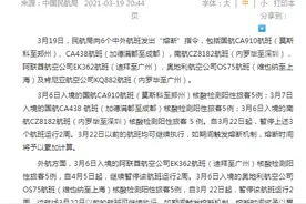 民航局向6个中外航班发出“熔断”指令图片
