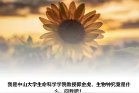 3月19世界睡眠日丨早睡早起身体好，真的靠谱吗？图片
