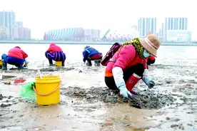 十里不同蛤！灵山湾海域赶海有奇遇 专家称与环境、盐度等有关图片