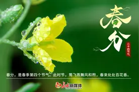 春分丨春分至，燕归来，正是人间好时节图片