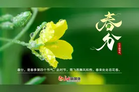 春分丨春分至，燕归来，正是人间好时节图片